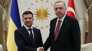 Erdoğan ve Zelensy