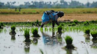 தஞ்சாவூர் நாடாளுமன்ற தொகுதி கடந்து வந்த பாதை Thanjavur