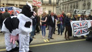 Protest ffermwyr