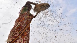 நெல் கொள்முதல் நிலையங்களை மூட மத்திய அரசு காரணம் சொல்லவில்லை: அமைச்சர் காமராஜ்