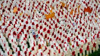 Lots of poppies on crosses
