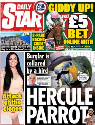 Daily Star