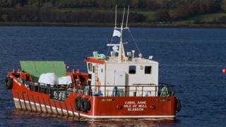The Carol Anne