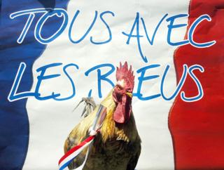 Gallo francés