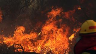 Fire and back of fireman
