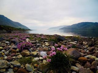 Little Loch Broom