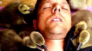 papa Goose