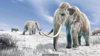 Mamutes