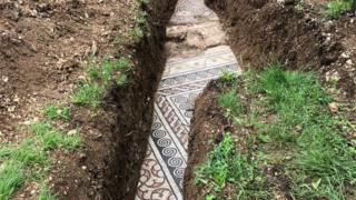 The mosaic floor found under a vineyard in northern Italy