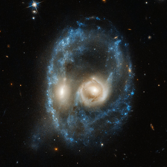 Arp-Madore 2026-424