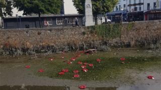 Vandalism at cenotaph in Newry
