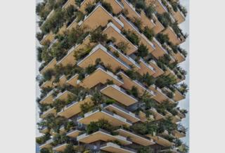 Urban Jungle by Paul Brouns