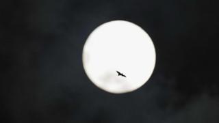 Luna de la cosecha.