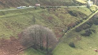The crash scene