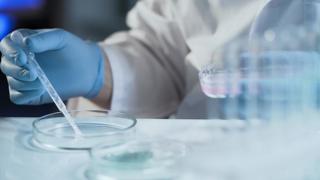 Laboratorio