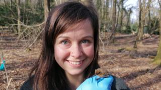 Ellie Hack Bat Conservation Trust