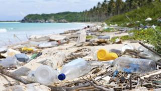 Garbage and pollution on a Tropical beach