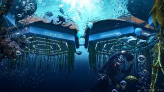 A sketch of Oceanix City homes from underwater.