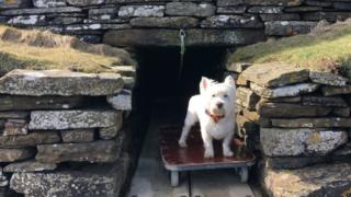 The Tomb of the Eagles, Orkney