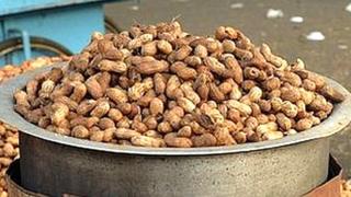 peanuts, allergy