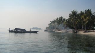 Bajau People 'evolved Bigger Spleens' For Free-diving - BBC News