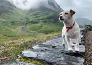 Madge in Glencoe aufgenommen