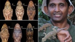 හූනන්ට නම් දීම