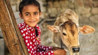 બિશ્નોઈ સમાજનો બાળક વાછરડા સાથે