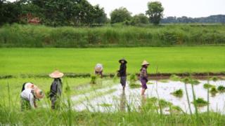 အီးယူမြန်မာ