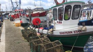 Some of the fishing boats in Portavogie Harbour