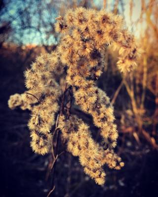 Taken along Boundary Brook near the Churchill Hospital