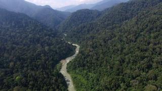 Leuser