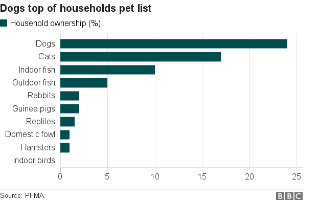 Pets in the doghouse as ownership falls - BBC News