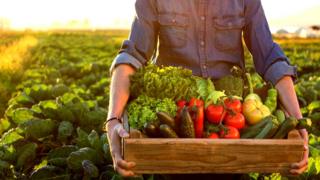Hombre llevando una caja de madera con verduras.