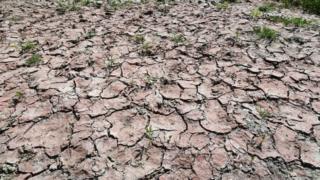 The dried up bed of the River Po. Photo: June 2017