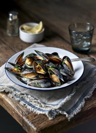 A plate of fresh oysters