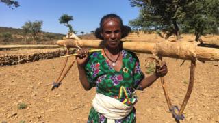 ወይዘሮ ለተችኣል ኣሰፋ ናብ ማሕረስ እንትወፍራ