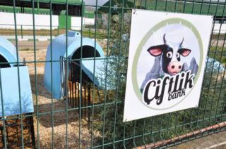 Çiftlik Bank