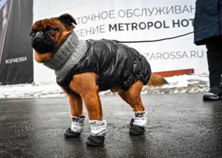อากาศหนาว ภาพ บีบีซีไทย บีบีซี