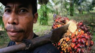 kelapa sawit