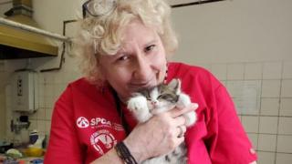 Котами в зоне отчуждения волонтеры тоже занимаются, но их гораздо меньше
