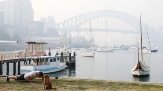 A man does push-ups next to a dog in front of the Sydney Harbour Bridge, which is obscured by thick smoke