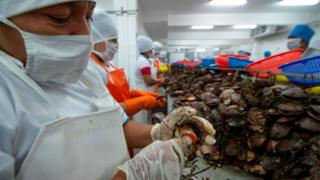 Trabajadores