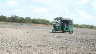 ජලය සිඳී ගිය වැවක ත්රි රෝද රථයක්