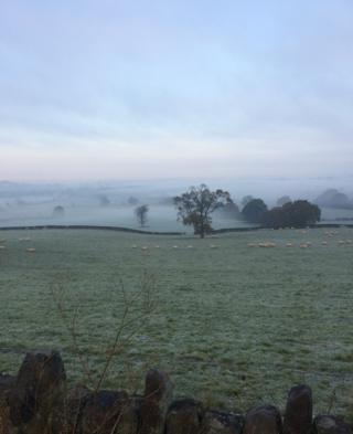 Misty fields