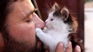 Alaa and a kitten