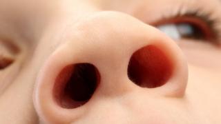 Child's nose