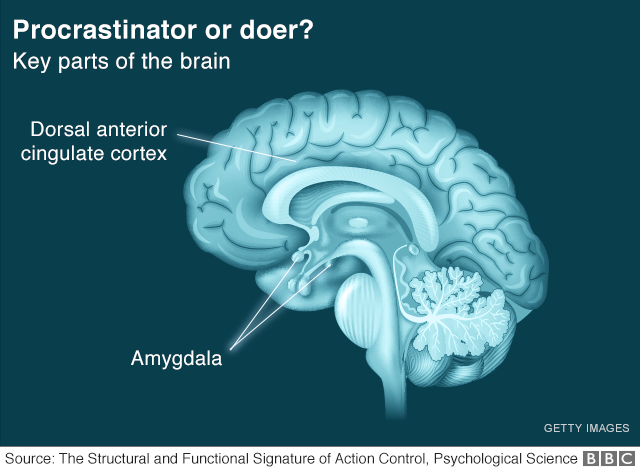 Procrastination: It's pretty much all in the mind
