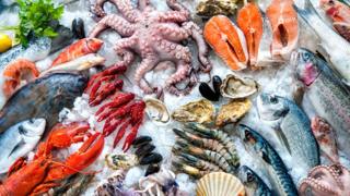 Pescados y mariscos