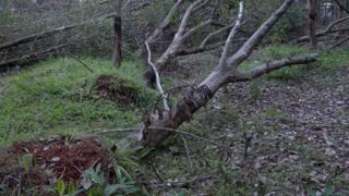 கன்னியாகுமரியில் தொடரும் சோகம்